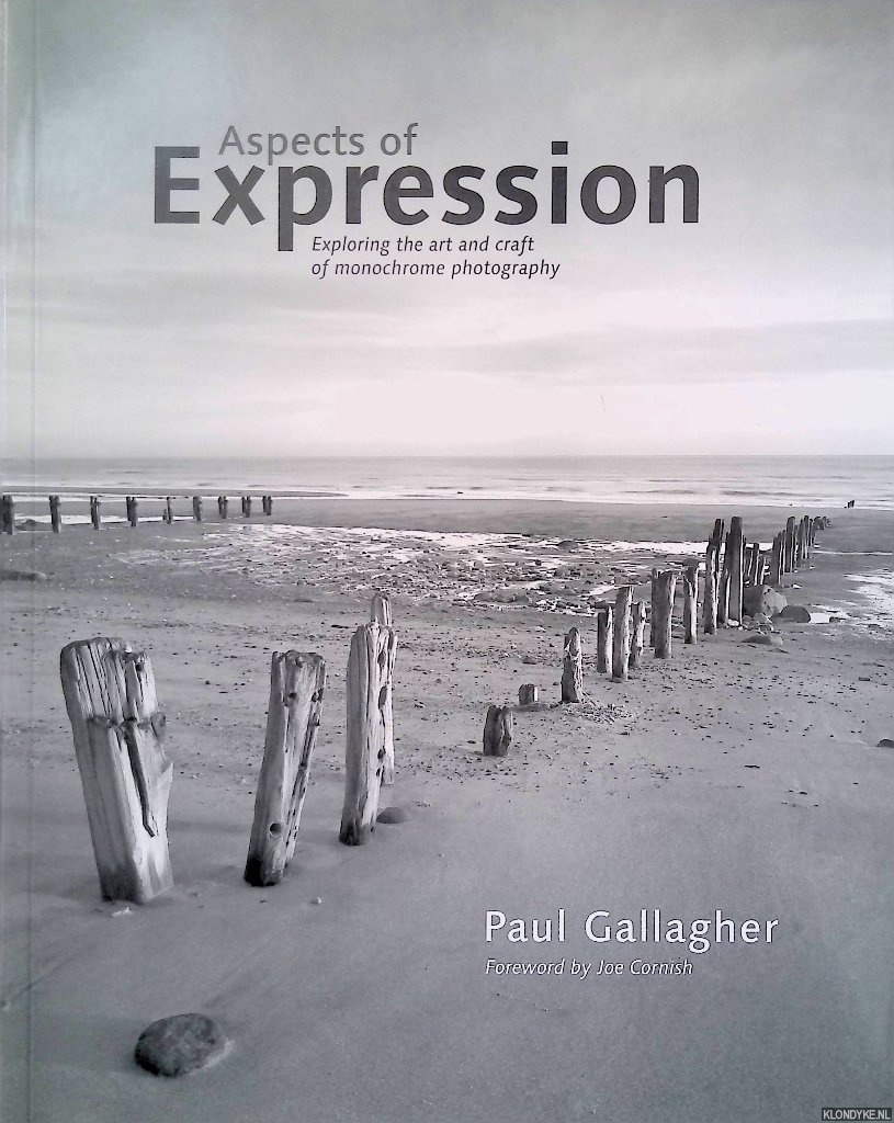 Gallagher, Paul - Aspects of expression: exploring the art & craft of monochrome photography