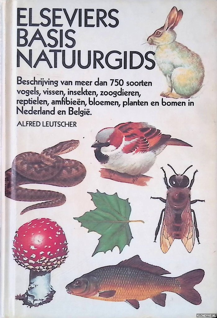Leutscher, Alfred - Elseviers basis natuurgids: Beschrijving van meer dan 750 soorten vogels, vissen, insekten, zoogdieren, reptielen, emfibien, bloemen, planen en bomen in Nederland en Belgi