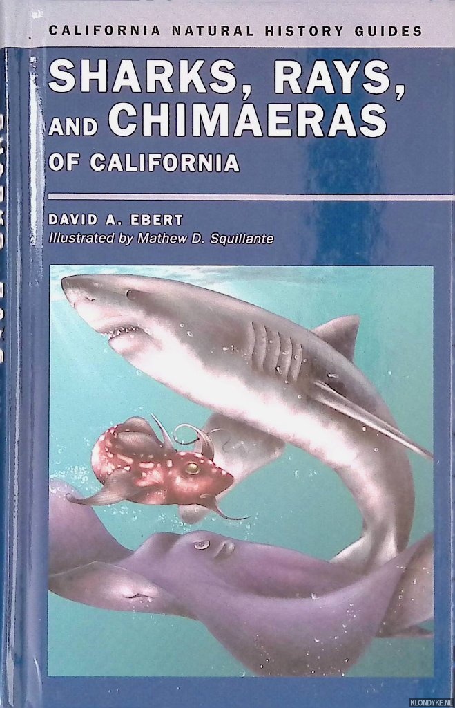 Ebert, David - Sharks, Rays, and Chimaeras of California