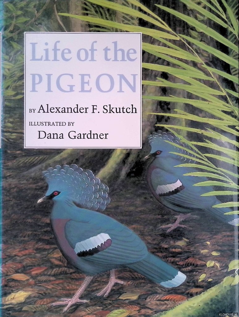 Skutch, Alexander Frank - Life of the Pigeon