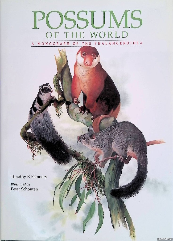 Flannery, Timothy F. & Peter Schouten (illustrations) - Possums of the World: A Monograph of the Phalangeroidea