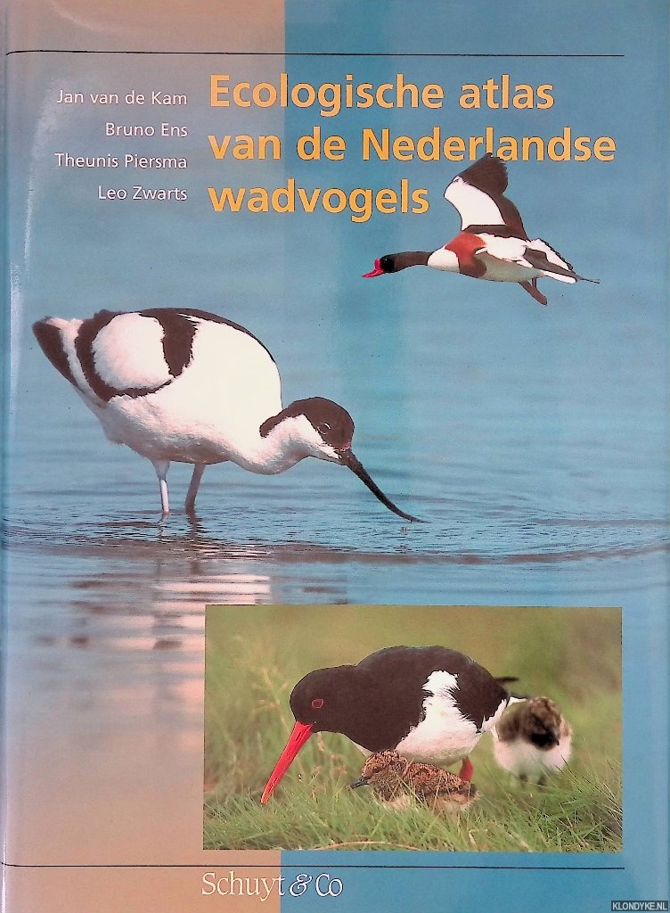 Kam, Jan van de & Bruno Ens & Theunis Piersma & Leo Zwarts - Ecologische atlas van de Nederlandse wadvogels