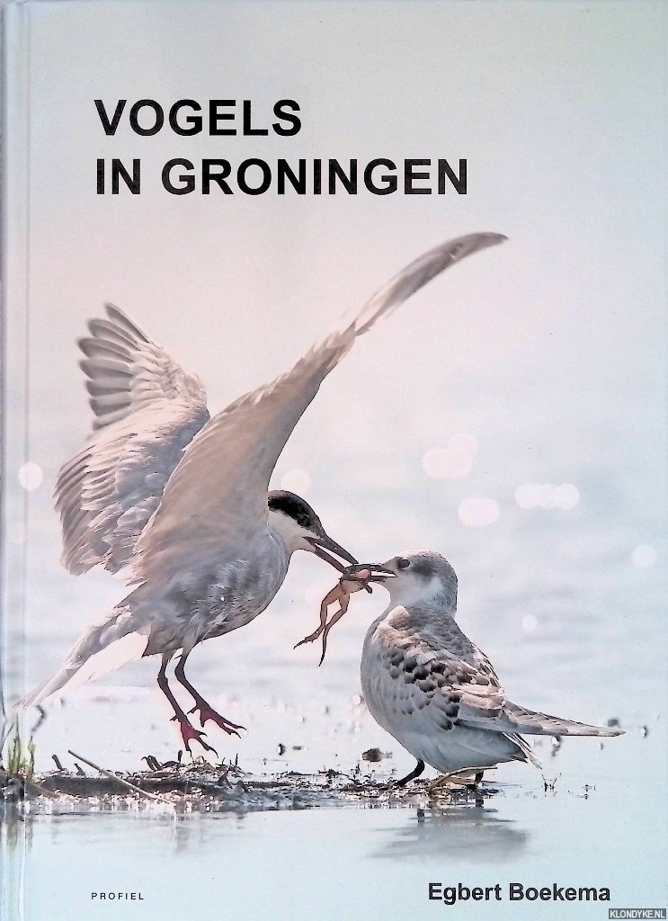 Boekema, Egbert Jan - Vogels in Groningen