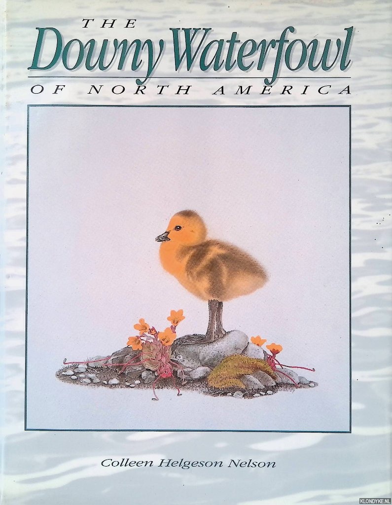 Nelson, Colleen Helgeson - The Downy Waterfowl of North America